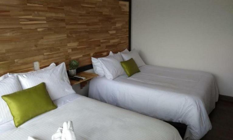 Sisga Hotel Boutique Choconta ภายนอก รูปภาพ